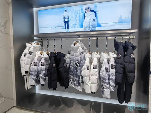 刷新當(dāng)年落地 當(dāng)年生產(chǎn) 當(dāng)年上市的 哈爾濱速度 立冬時(shí)節(jié) 爾濱 波司登 如約而至