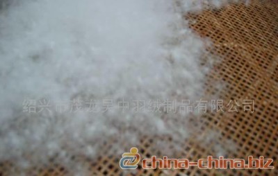 供應(yīng)白鵝絨(圖) - 中國(guó)制造交易網(wǎng)