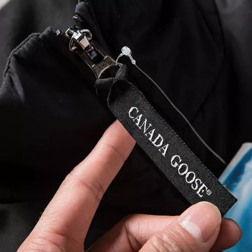 今年啥產(chǎn)品最火,兄弟們知道嗎 大鵝羽絨馬甲