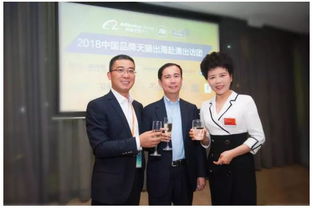 營收創(chuàng)新高，波司登羽絨服一改低調(diào)，王者歸來引領(lǐng)羽絨制品加工