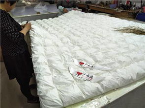 淮安市淮安區(qū)鑫豐羽絨制品廠 最新市場供求動態(tài)與產業(yè)前景分析